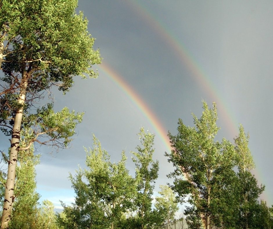 Photo of double rainbow, after a rainstorm. Rainbows can be a way spirit communicates with us. 
